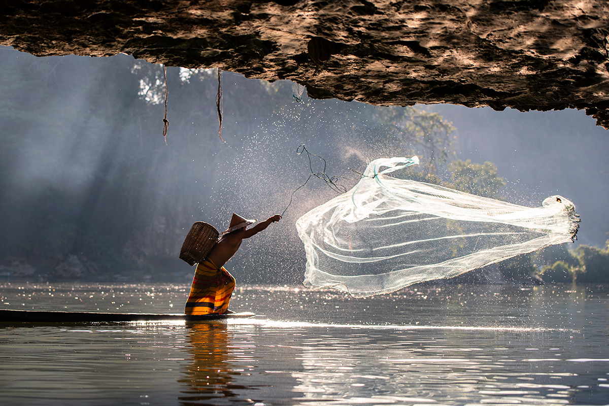 Brasileira vence competição da ONU de fotos da vida marinha